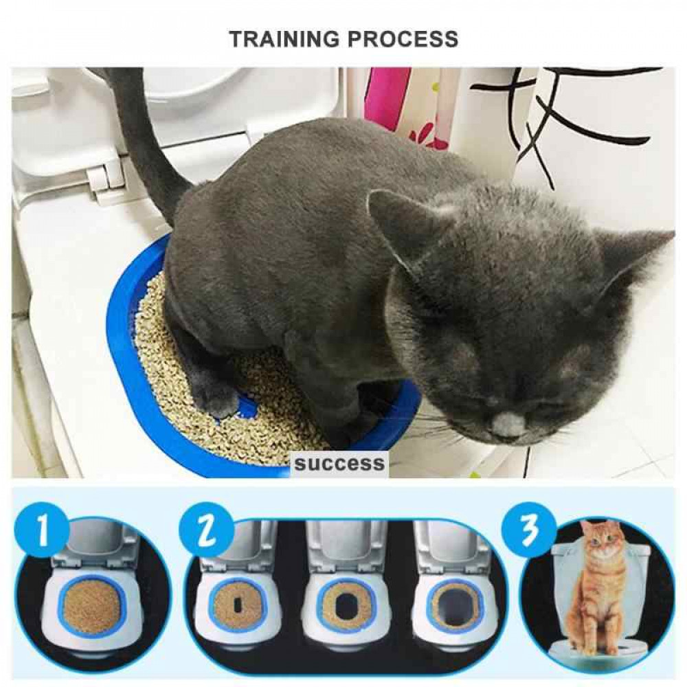 مجموعه ادوات تدريب القط على استخدام الحمام