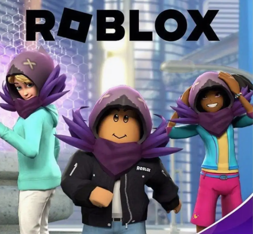 عالمك داخل Roblox يبدأ من هنا! بيرم بلوكس فروت + بطاقات روبوكس في BunnyStor