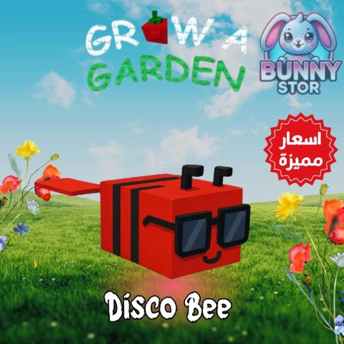 Disco Bee | نحلة الديسكو |Grow A Garden
