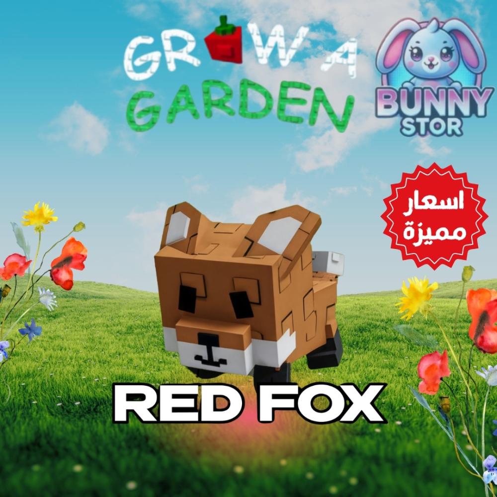 Red Fox  الثعلب