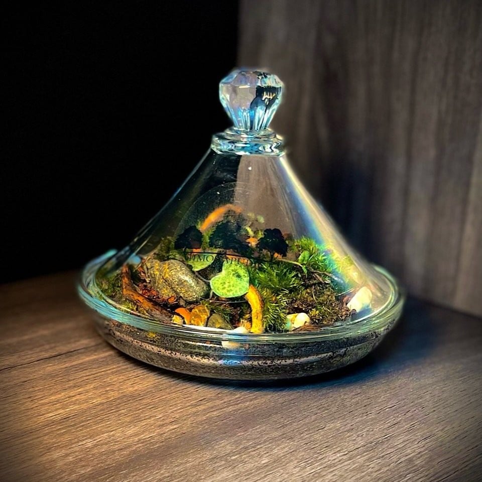 Terrarium
