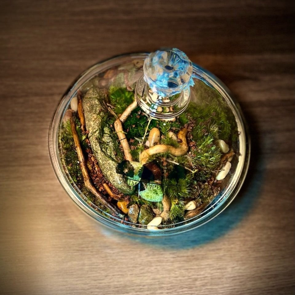 Terrarium