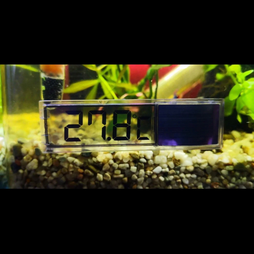 Aquarium thermometer digital color silver - متجر ميموسا بوديكا