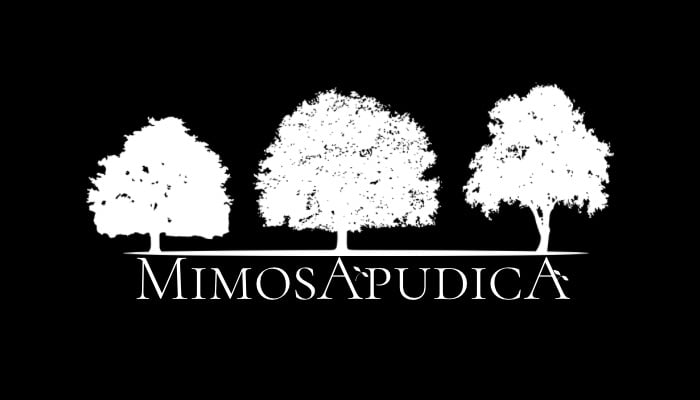 Mimosa pudica