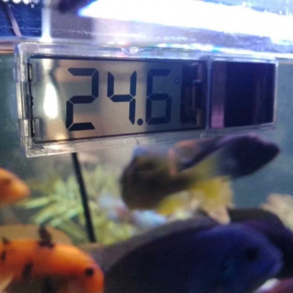 Fish Thermometer