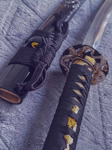 Rus talabalari porno partiyasini onlayn tomosha qiling