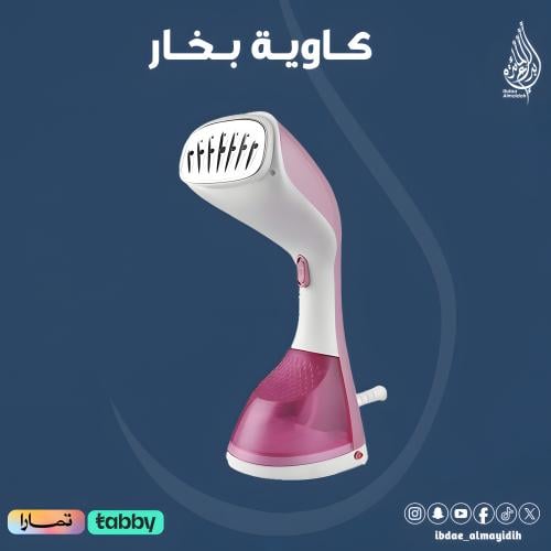 كاوية بخار محمولة 1500 واط Denx