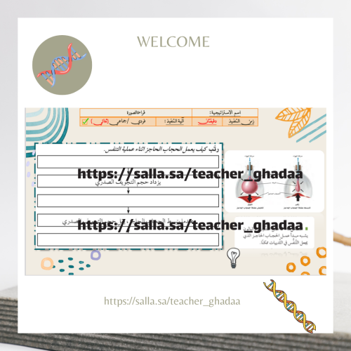 خصائص الثدييات