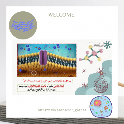 التراكيب الخلويـة و العضيـات