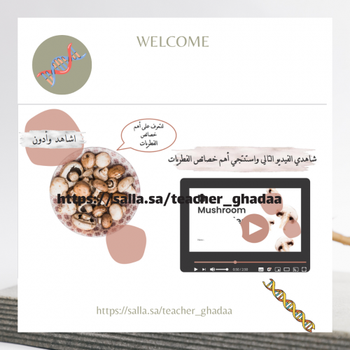 مدخل إلى الفطريات