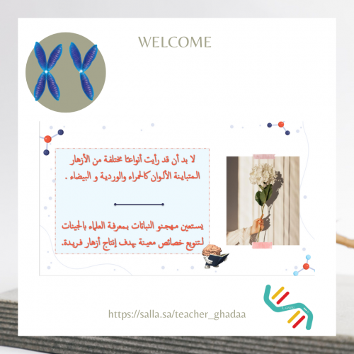 ارتباط الجينات وتعدد المجموعة الكروموسوميـة