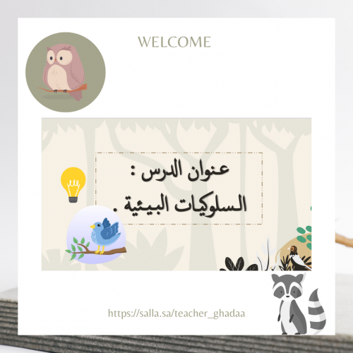 السلوكيات البيـئية