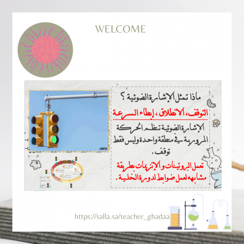 تنـظيم دورة الـخلية .