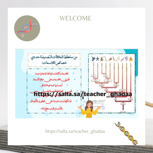 اللاسعـات