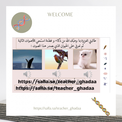 خصائص الـحيوانات