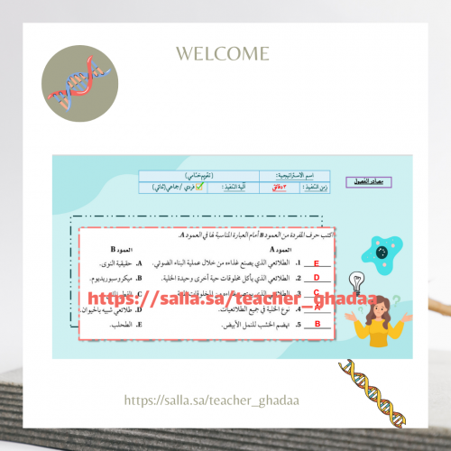مدخل الى الطلائعيات