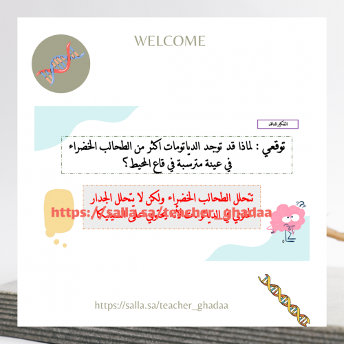 ورقة عمل تنوع الطلائعيات