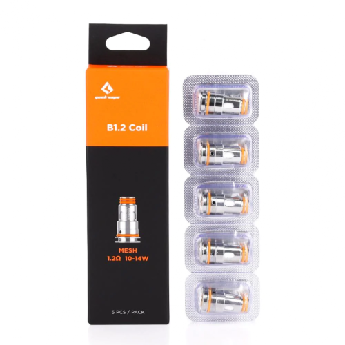 B12 coil
