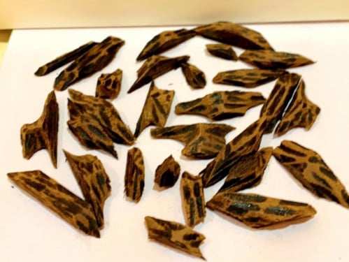 ( وقيه ) تايقر كمبودي