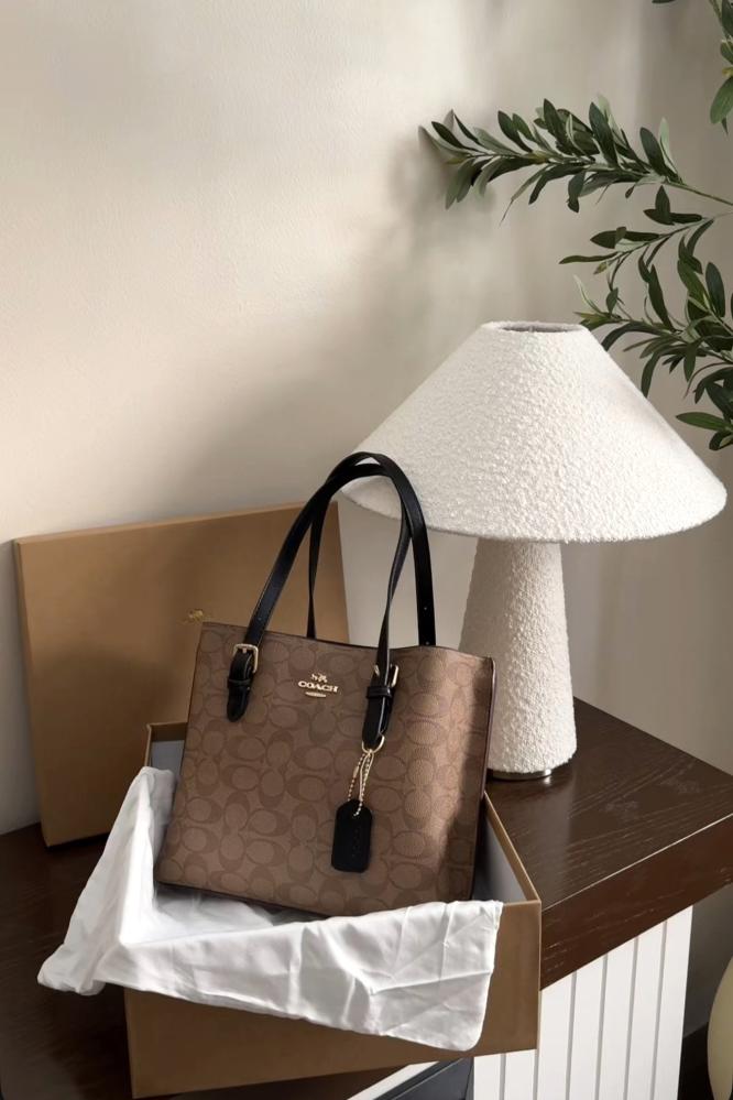 كوتش مولي26cm