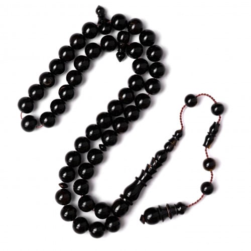 مسباح ترسه السلحفاه البحريه