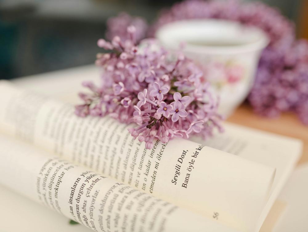 The energy of the color purple in the home and work