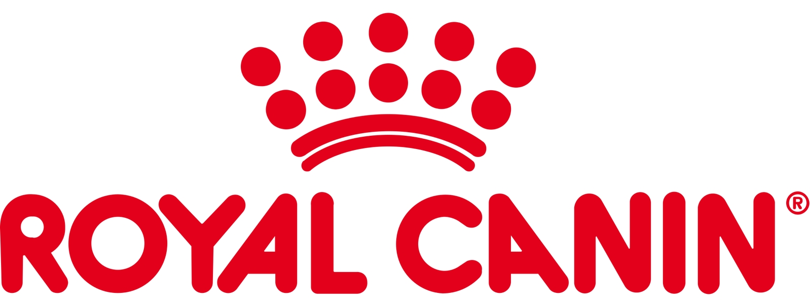 رويال كانين Royal Canin