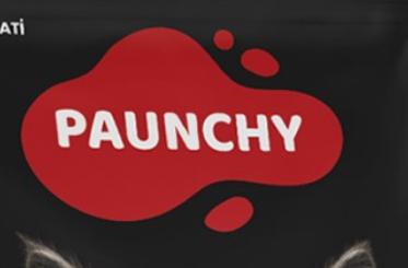بونتشي PAUNCHY