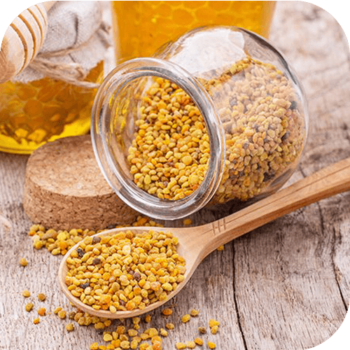 حبوب اللقاح