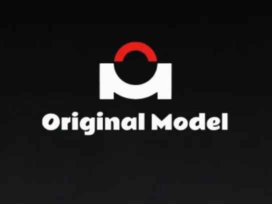 Original Model