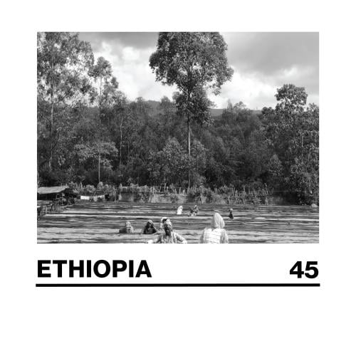 ETHIOPIA (45) - 250G