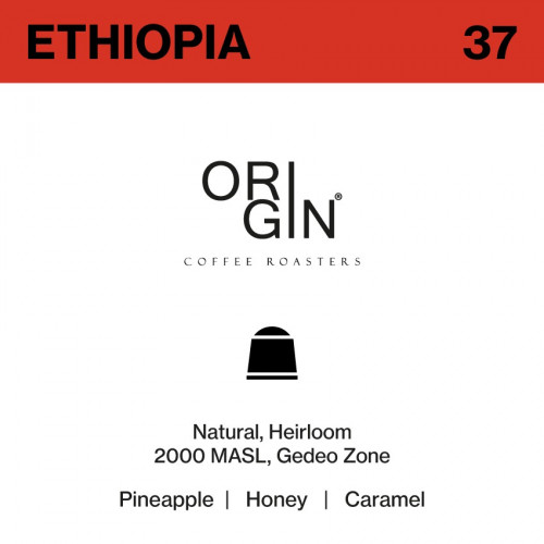 Ethiopia (37) - Capsule