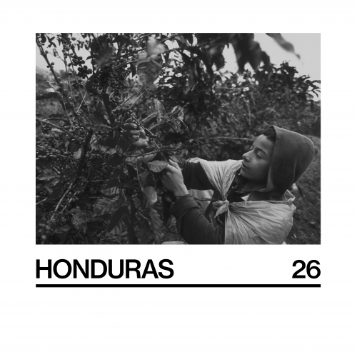 Honduras (26) - 250G