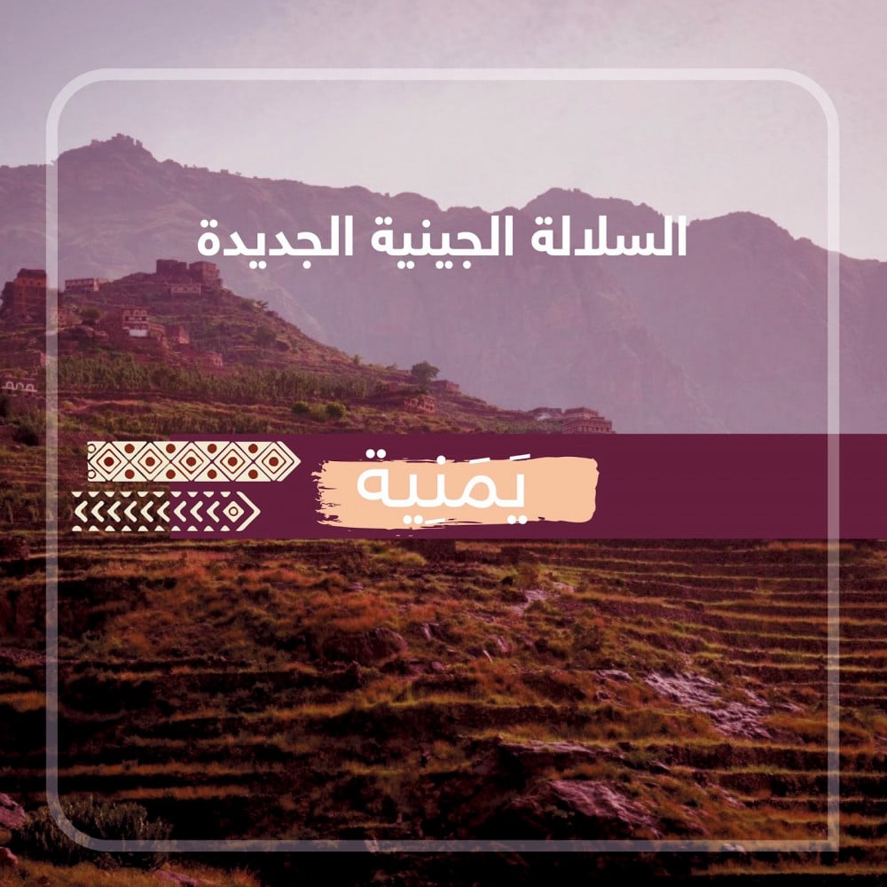 السلالة اليمنية الجديدة
