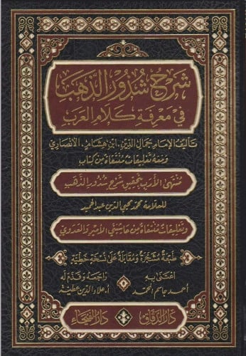 شرح شذور الذهب في معرفة كلام العرب
