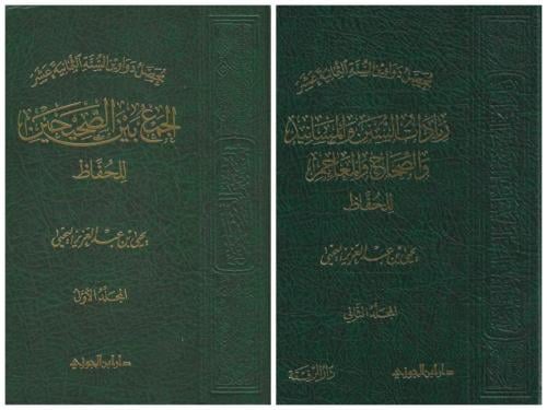 محصل دواوين السنة الثمانية عشر 1/2 - يحيى اليحيى