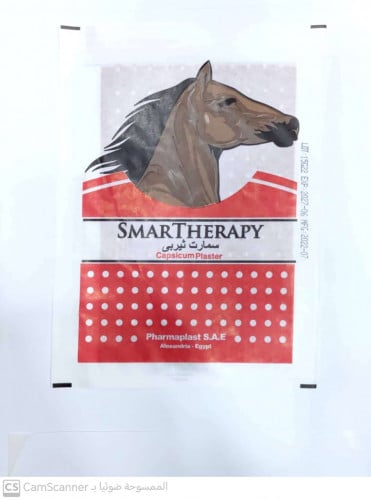 سمارت ثيرابي لصقة ظهر حارة 1 قطعة | SMART THERAPY...