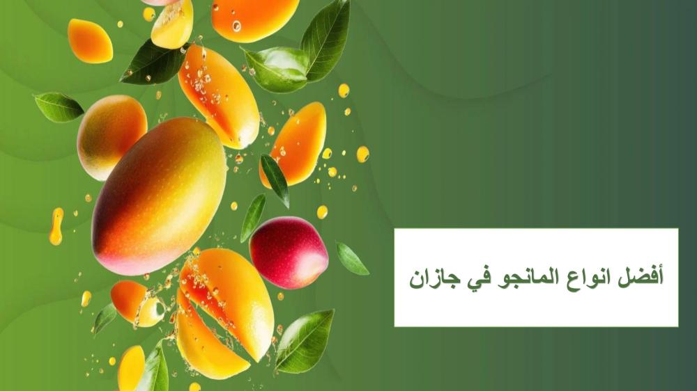 أفضل أنواع المانجو في السعودية : كل ما يهمك