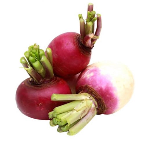 بنجر ( شمندر )