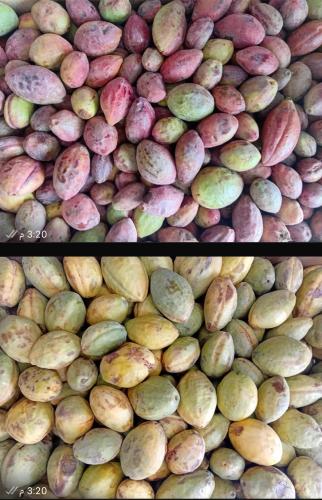 لوز اسكندراني اصفر