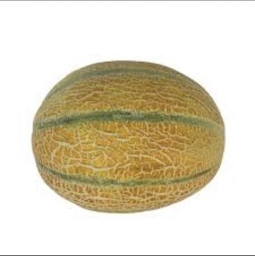 شمام منقاوي