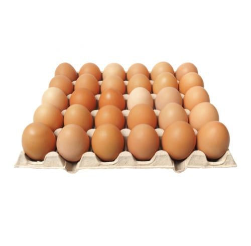 بيض بلدي طبق