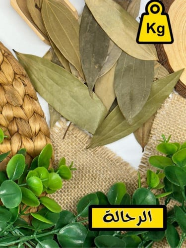ورق غار ( كيلو )