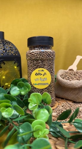 كزبرة حب كبير