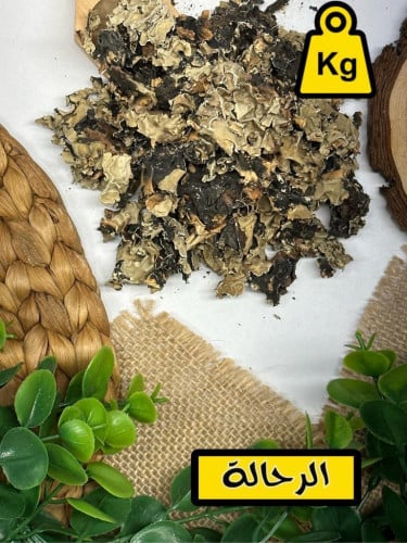 شيبة ( كيلو )