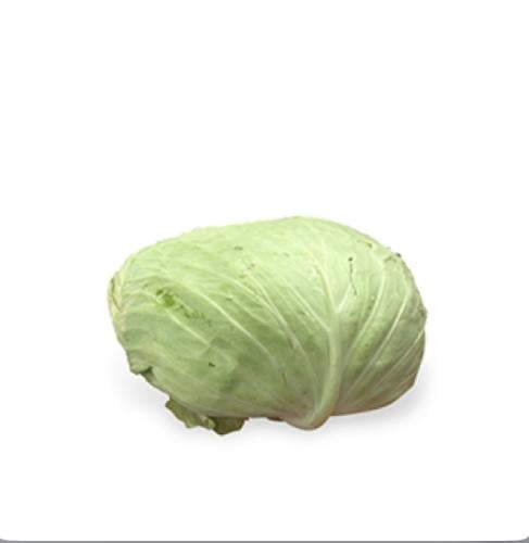 ملفوف محشي طازج