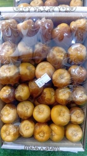 سكري رطب مناصيف