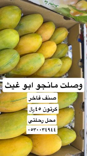 مانجو ابو غيث كرتون
