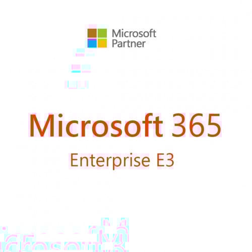 Microsoft 365 E3 P1