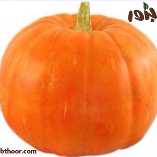 بذور القرع الكوري-متجر بذور الزراعي